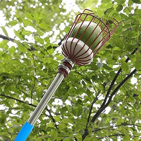 Pro-Grade Fruit Picker with Basket – Effortless Harvesting Tool for Apple, Mango, Orange & More