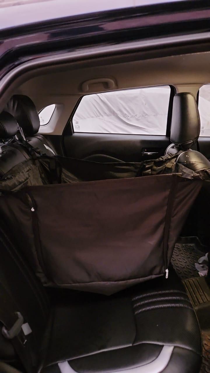 ๐๐๐
๐๐ฟ๐ ๐ฃ๐ฒ๐ ๐๐ฎ๐ฟ ๐ฆ๐ฒ๐ฎ๐ ๐ณ๐ผ๐ฟ ๐๐ผ๐ด๐ โ ๐๐ผ๐บ๐ณ๐ผ๐ฟ๐ ๐ฎ๐ป๐ฑ ๐ฆ๐ฎ๐ณ๐ฒ๐๐ ๐ข๐ป ๐ง๐ต๐ฒ ๐๐ผ