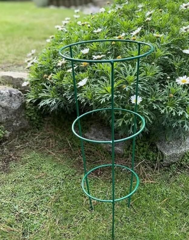 3-Layer Adjustable Plant Support Cage – Strong, Stylish & Essential for Thriving Indoor Plants