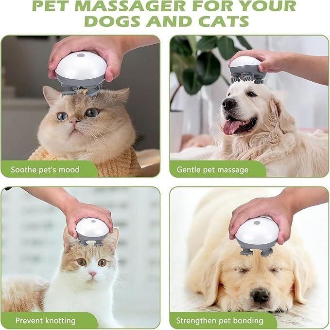 Electric Cat Massager – Pure Bliss for Your Furry Best Friend